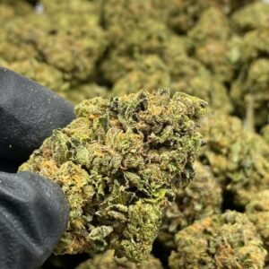 Bubba Kush THCa Flower close-up showcasing dense, dark green buds with purple hues and frosty trichomes.
