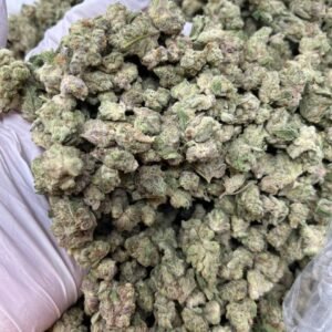 Close-up of White Widow THCa Flower buds showcasing dense trichomes and vibrant green hues.