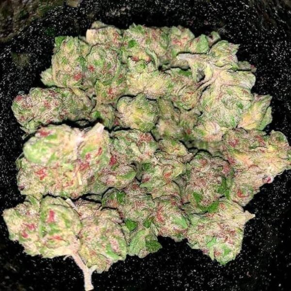 Dense buds of Lava Cake THCa Flower with rich purple hues and frosty trichomes.