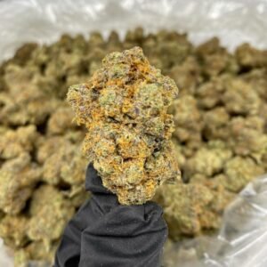 Oreoz THCa Flower cannabis strain, showcasing dense, frosty buds with a mix of green and purple hues, covered in sparkling trichomes, highlighting its potent appearance.