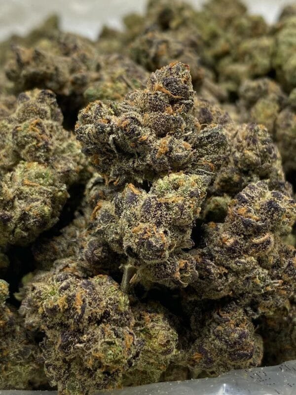 Purple Urkle High THCa Flower - vibrant purple buds with bright orange hairs and a thick coating of trichomes.