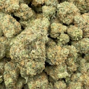 Super Silver Haze THCa Flower – Dense, frosty buds with bright green and orange tones.
