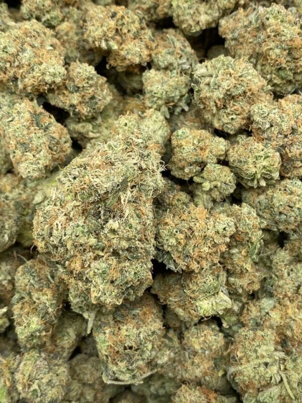 Super Silver Haze THCa Flower – Dense, frosty buds with bright green and orange tones.