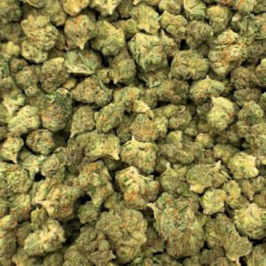 Gelato THCa Flower – frosty green buds with purple highlights and vibrant orange pistils.