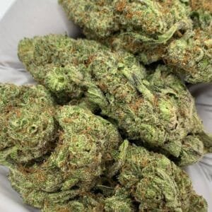 Frosty buds of Ice Cream Cake THCa Flower with vibrant green hues and orange pistils.