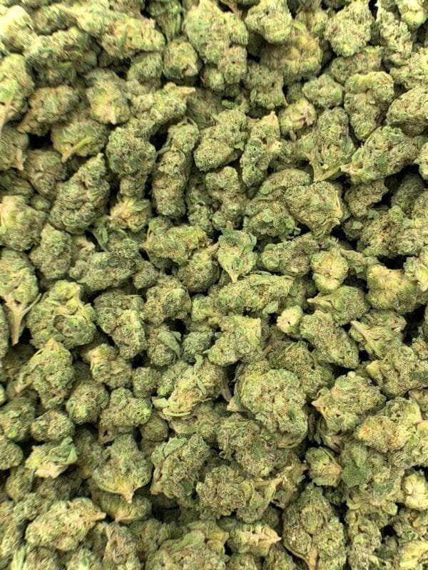 Wedding Cake THCa Flower – dense frosty buds with light purple and green hues.