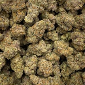 GMO THCa Flower showcasing dense, frosty buds with deep green hues and orange pistils.