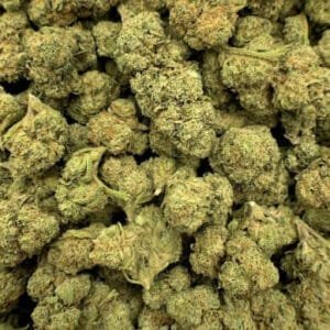 Close-up of Gorilla Glue (GG4) THCa Flower showing frosty trichomes and green buds with orange pistils.