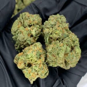 Close-up of Granddaddy Purple THCa Flower showcasing its purple-hued buds covered in frosty trichomes and orange pistils.