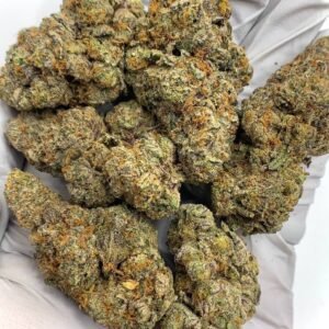 Close-up of Sherbert THCa Flower buds with vibrant orange pistils and frosty trichomes, showcasing its fruity appeal.