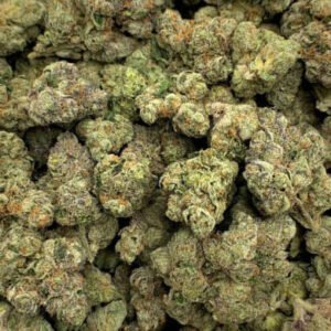Close-up of Blueberry THCa Flower buds with a frosty layer of trichomes and vibrant purple hues.