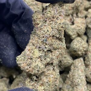Bruce Banner THCa Flower – Dense green buds with vibrant orange pistils and a frosty coating of trichomes.