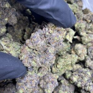 Krypto Chronic THCa Flower – Dense, colorful buds with a generous coating of frosty trichomes.