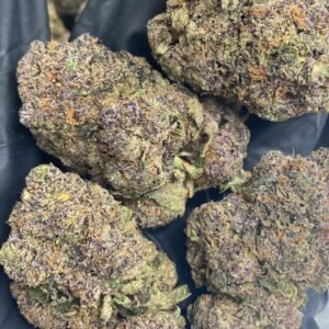 Mimosa THCa Flower – Bright green buds with hints of purple, covered in orange pistils and frosty trichomes.