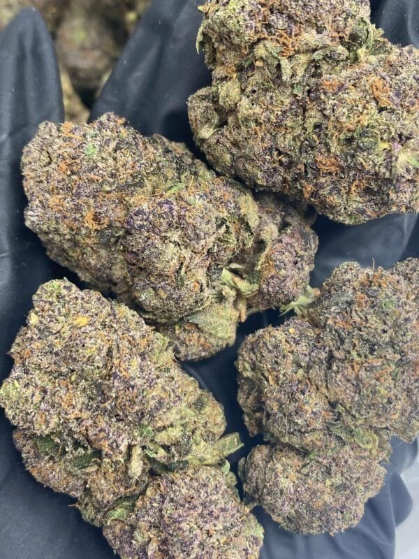 Mimosa THCa Flower – Bright green buds with hints of purple, covered in orange pistils and frosty trichomes.