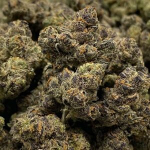 Pink Rosay THCa Flower – Beautiful pink-hued buds with a dusting of trichomes.