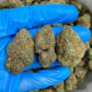 White Walker THCa Flower – Dense, frosty buds with deep green hues and white trichomes.