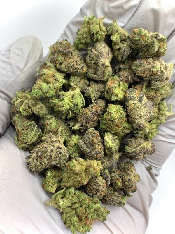 Lemon Zest THCa Flower buds with bright green hues, vibrant yellow pistils, and a frosty layer of trichomes.