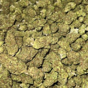 Blueberry Cheesecake THCa Flower buds with deep green hues, purple accents, and a thick coating of trichomes.