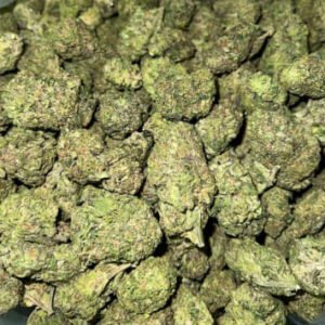 Grape Soda THCa Flower buds with deep green hues, purple highlights, and a thick coating of trichomes.