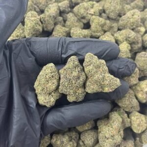 Spiced Apple THCa Flower buds with vibrant green hues, orange pistils, and a thick coating of trichomes.
