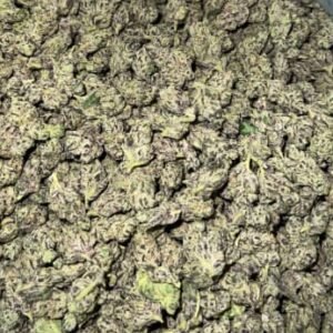Plum Jam THCa Flower buds with deep green hues, purple highlights, and a thick coating of trichomes.