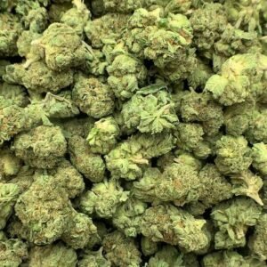 Citrus Burst THCa Flower buds with bright green hues, orange pistils, and a frosty coating of trichomes.