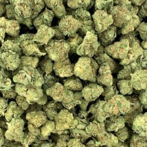 Citrus Skunk THCa Flower buds with bright green hues, orange pistils, and frosty trichomes.