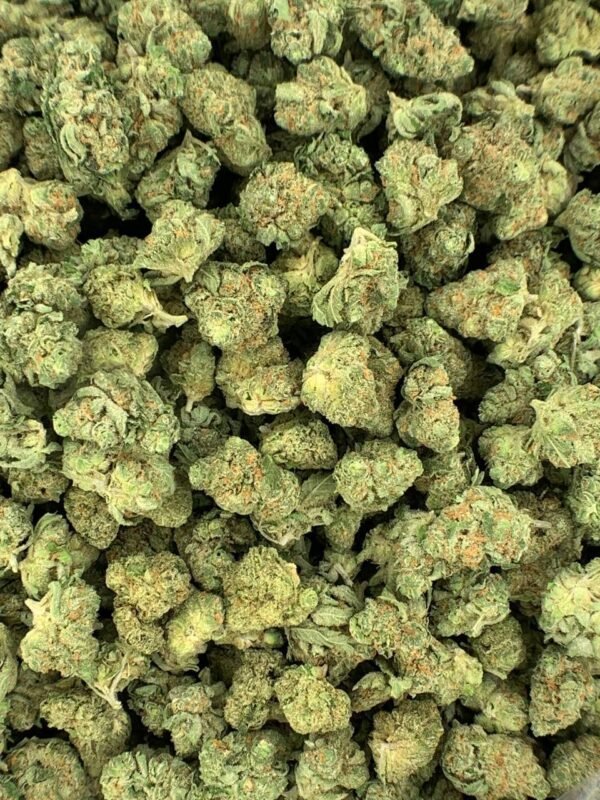 Citrus Skunk THCa Flower buds with bright green hues, orange pistils, and frosty trichomes.