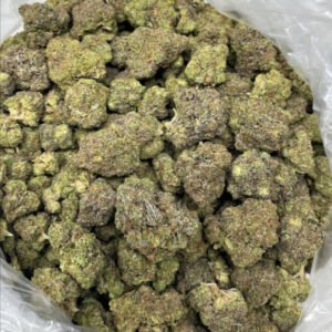 Mango Sorbet THCa Flower buds with vibrant orange pistils and frosty trichomes.