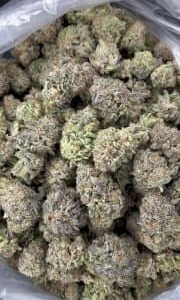 Raspberry Lemonade THCa Flower buds with deep purple hues, vibrant green tones, and frosty trichomes.