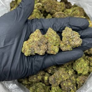 Mint Chocolate Chip THCa Flower buds with lush green hues, dark brown streaks, and a thick coating of trichomes.