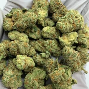 Creamy Peach THCa Flower buds with golden-orange hues, peachy pistils, and a frosty layer of trichomes.