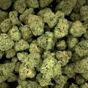 Chocolate Diesel THCa Flower buds with deep green hues, amber pistils, and a frosty coating of trichomes.