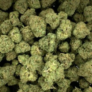 Citrus Punch THCa Flower buds with bright green and orange hues, covered in frosty trichomes.