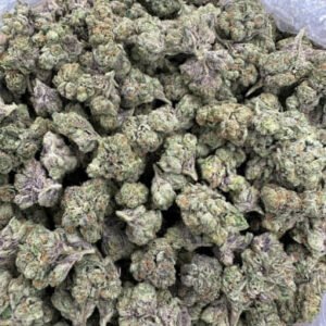 Spicy Diesel THCa Flower buds with vibrant green hues, orange pistils, and a thick coating of resinous trichomes.