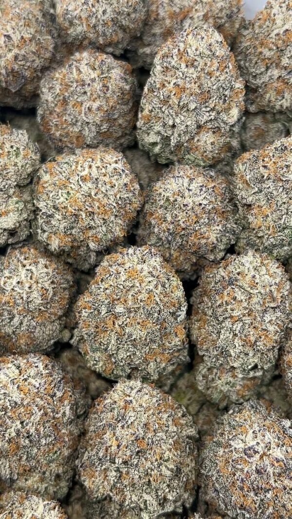 Sweet Tooth THCa Flower buds with frosty trichomes and vibrant green hues, covered with orange pistils.