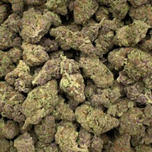 Pink Lemonade THCa Flower buds with pinkish hues, orange pistils, and frosty trichomes.