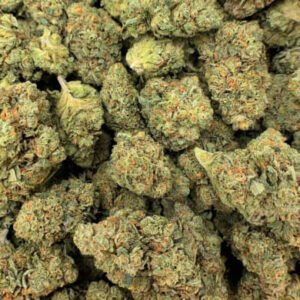 Citrus Sherbet THCa Flower buds with bright green hues, orange pistils, and frosty trichomes.