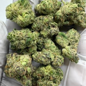 Tangerine Dream THCa Flower buds with bright orange pistils and a frosty layer of trichomes.