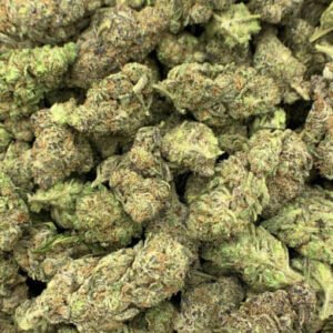 Mandarin Cookies THCa Flower buds with orange pistils and frosty trichomes.