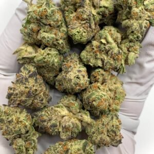 Raspberry Rumble THCa Flower buds with vibrant green hues, purple undertones, and a thick coating of trichomes.