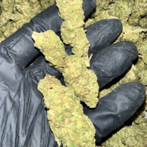 Fruit Punch THCa Flower buds with bright green hues, orange pistils, and a frosty coating of trichomes.