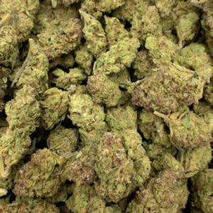 Spicy Mango THCa Flower buds, featuring vibrant green hues, orange pistils, and a frosty layer of trichomes.