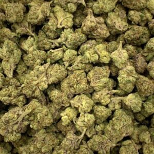 Pineapple Dream THCa Flower buds, featuring bright green hues, golden pistils, and a shimmering trichome layer.