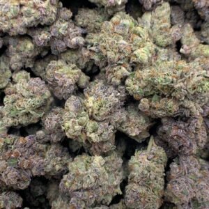 Blueberry Muffin THCa Flower buds featuring deep purple hues, orange pistils, and a thick layer of glistening trichomes.