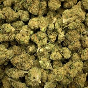 Bubblegum Dream THCa Flower buds with vibrant green hues and frosty trichomes.