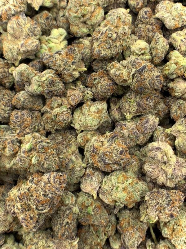 Papaya Punch THCa Flower buds with green and purple hues, orange pistils, and frosty trichomes.