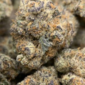 Grapefruit Dream THCa Flower with vibrant green buds, orange pistils, and a frosty layer of trichomes.