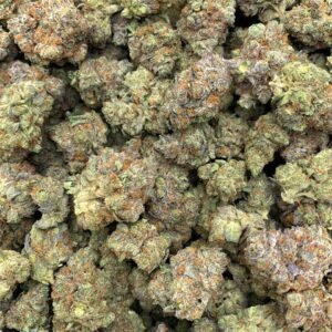 Melon Breeze THCa Flower buds showcasing vibrant green colors, orange pistils, and a frosty layer of trichomes.